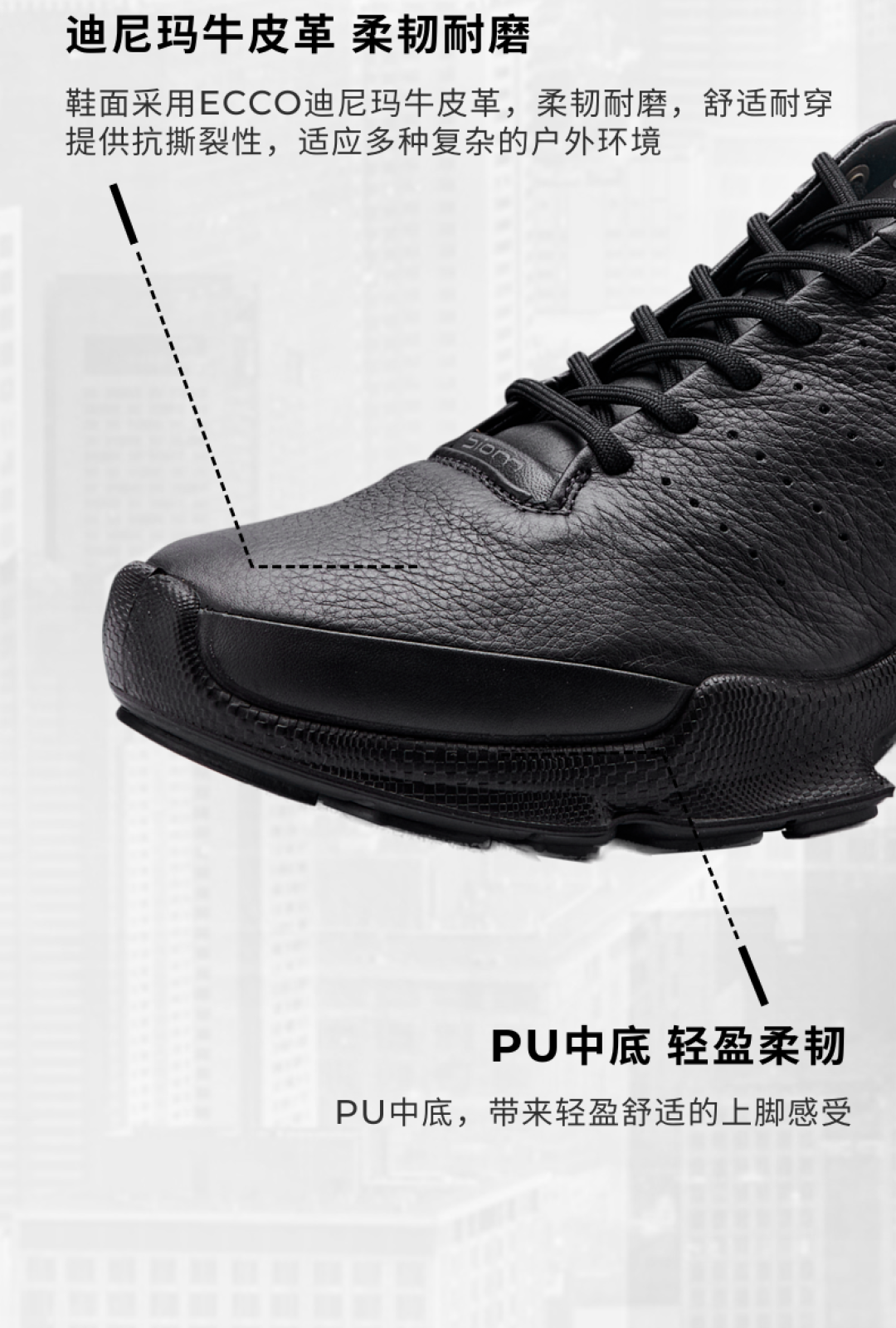 ECCO的