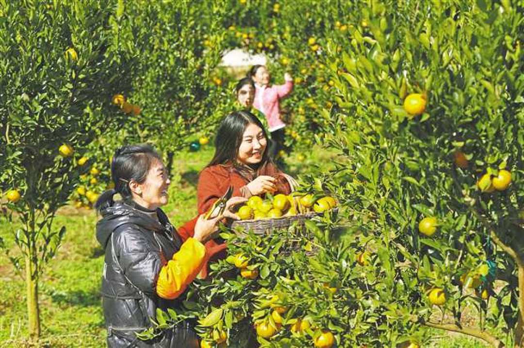 18篇采摘避雷笔记、1148条评论:带娃去采摘前,先对过