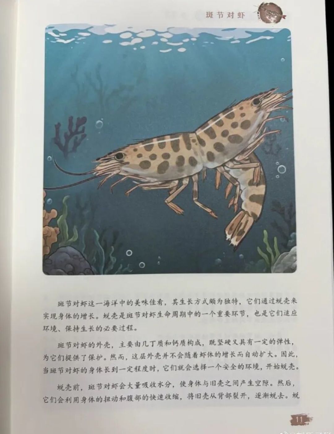封面上的虾有两个头，这套书刚评上全国优秀科普图书