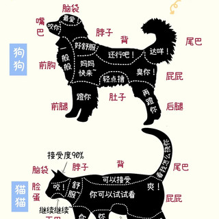 原来我一直摸错了！宠物舒适区揭秘
