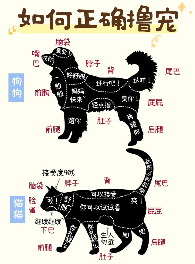 其他宠物日用