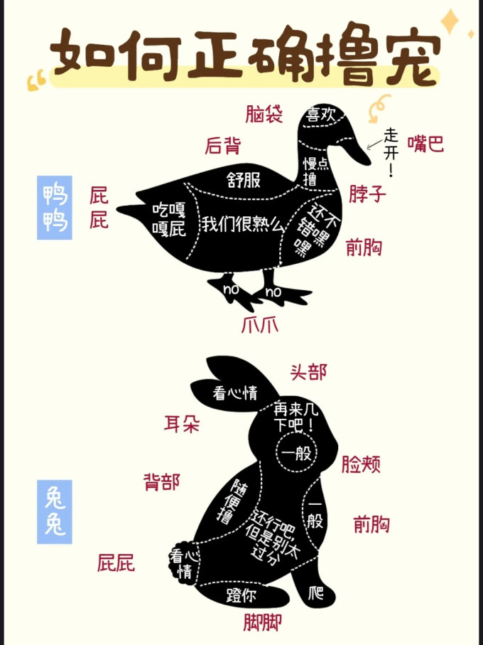 其他宠物日用
