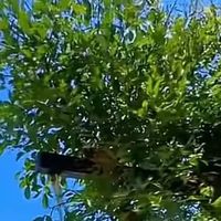 烫染受损友好｜6款修护发膜自用测评，追求柔顺强韧二合一参考