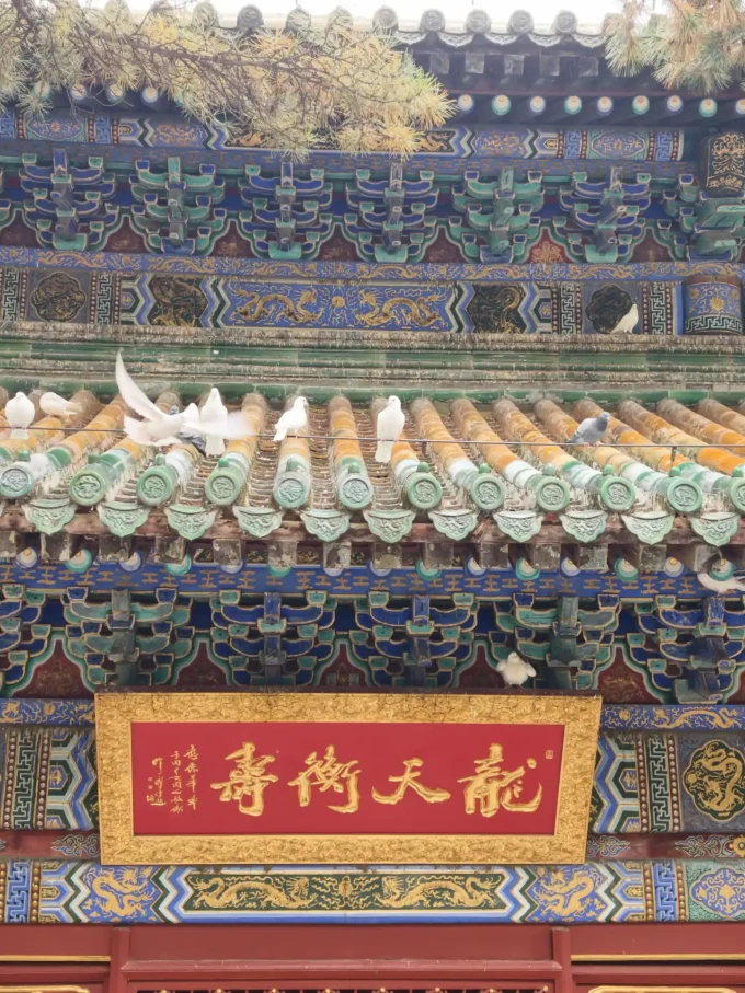 国内度假