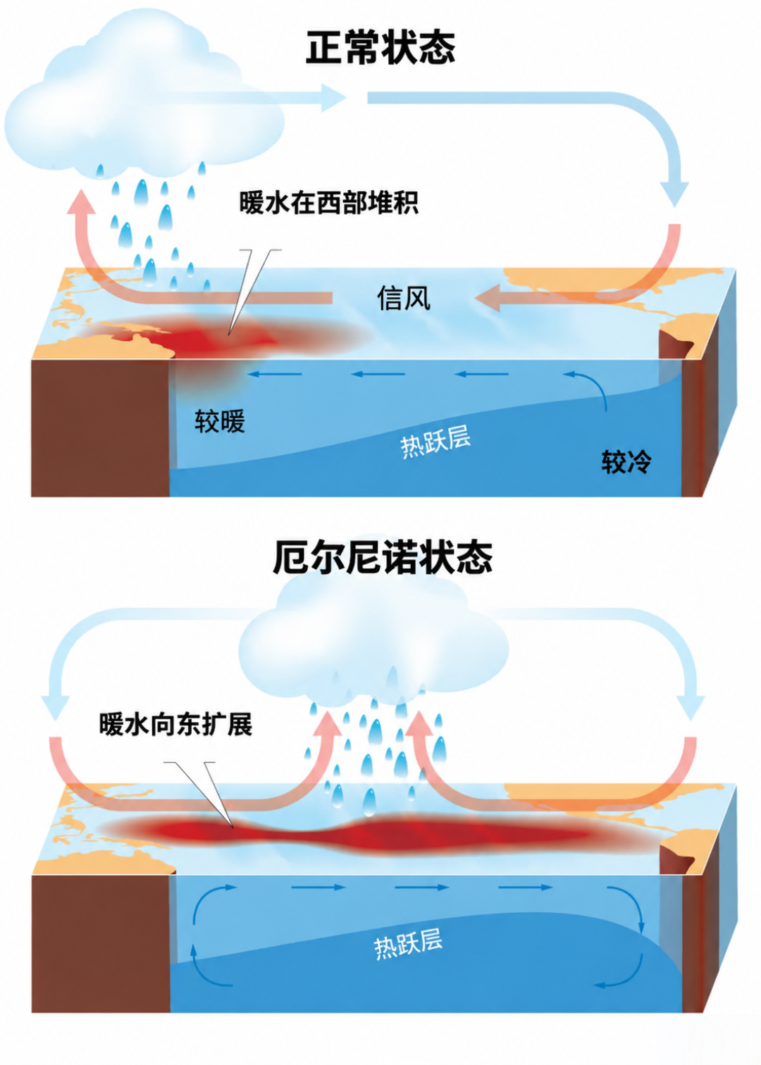 豆子跌了三成,你的9.9只剩一杯:双11前,把这杯咖啡的三本账对完