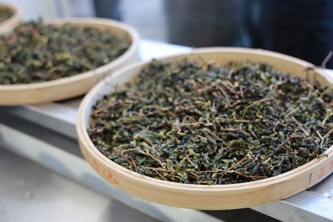 正秋茶刚上市,别被“越绿越鲜”骗了:一杯冷水、一片红边、一个日期