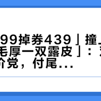 「原1599掉券439」撞上「同款一双毛厚一双露皮」：双11 UGG蹲价党，付尾款前先把价梯、批次、楦头、退路这四本账对完