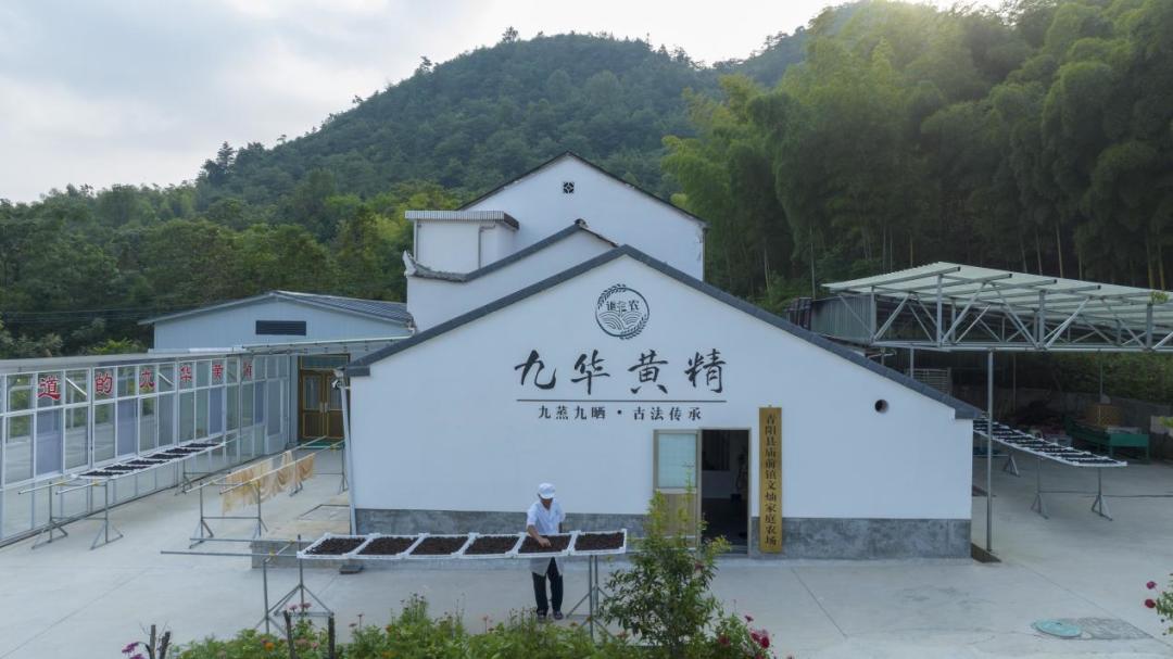 黄精可乐断货、电商涨了730%:买雷允上黄精前,先看舌苔