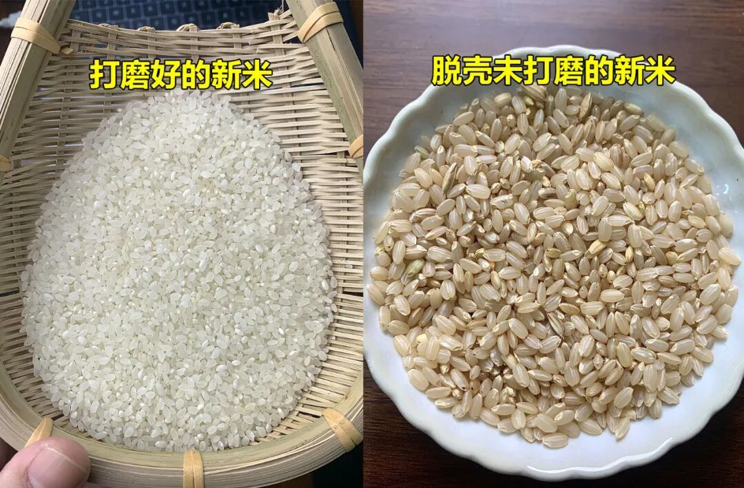 你怕的“假米”买错方向了：塑料米不存在、人造米不背锅，真正要防的是套着“五常”马甲的那只袋子