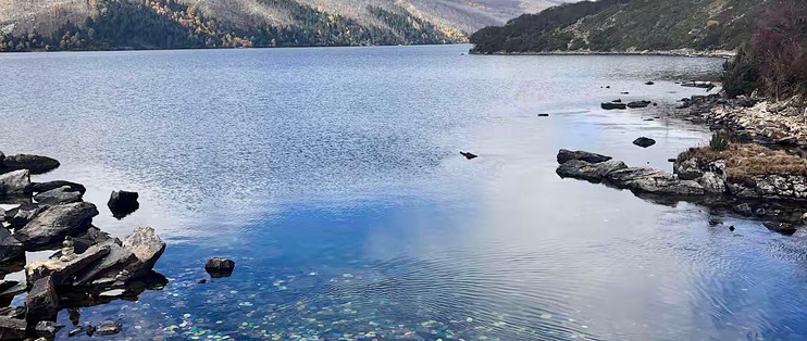 旅行换环境皮肤干红，我常带的8款修护精华