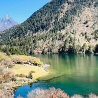 美嘉年益生菌价格解析：从优惠前到实付款