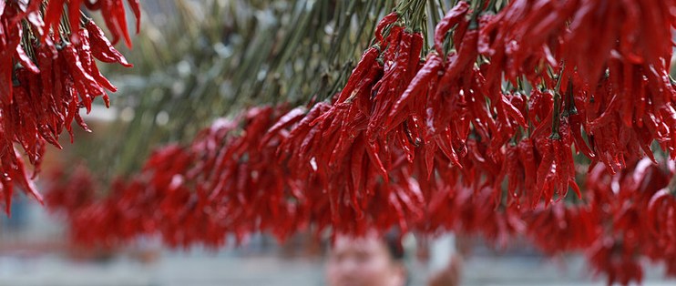 老干妈否认AI把600人裁到48人：数字没出处，参保三年少了2100多倒是真的