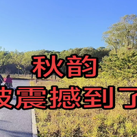秋天到哪里去?