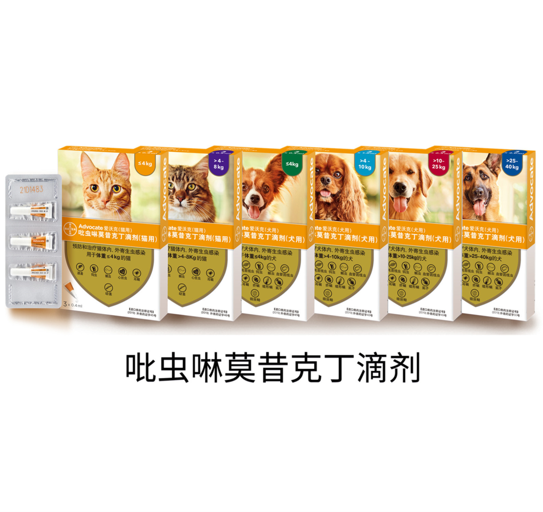 2026犬猫驱虫药怎么选?内外同驱、滴剂喷剂、幼宠跳蚤品牌横评
