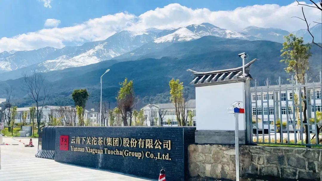 坐上去像跷跷板:在大理,亲手压一枚100克的沱茶