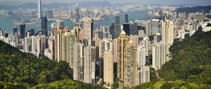 保之道香港牌照到底是不是真的？教你自己查证