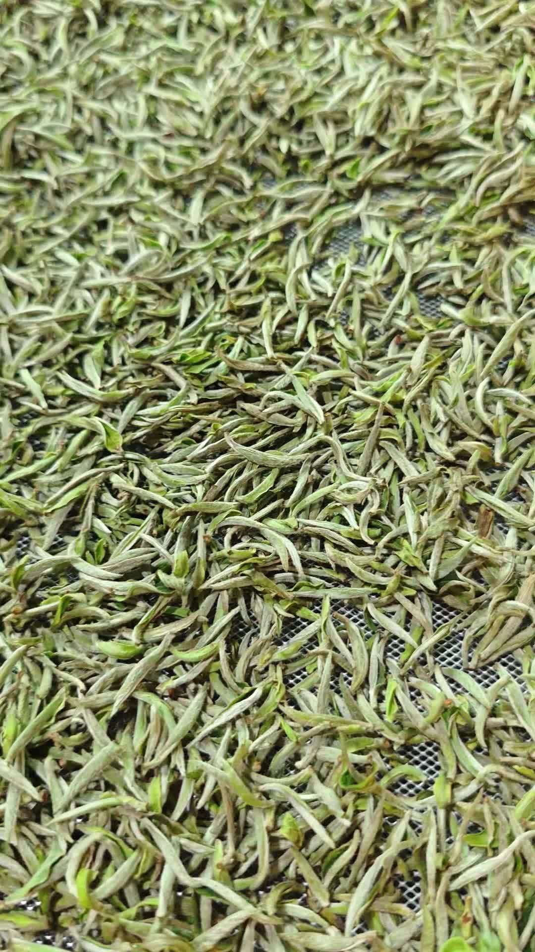 被水泡的白茶烧了10吨,双11你买的