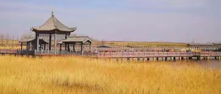 从鱼油换到磷虾油，我先把五款的成分口径重看了一遍