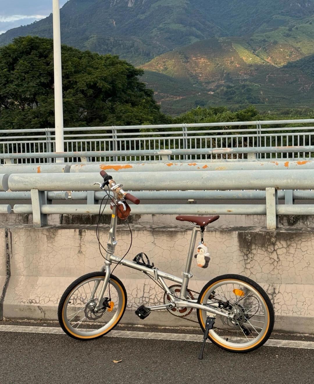 储藏间里的老永久二八大杠:50元卖废铁,还是几百块有人收?先读懂钢印再决定卖不卖