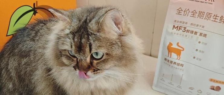 实测麦富迪原生鲜肉猫粮后的真实选择感受