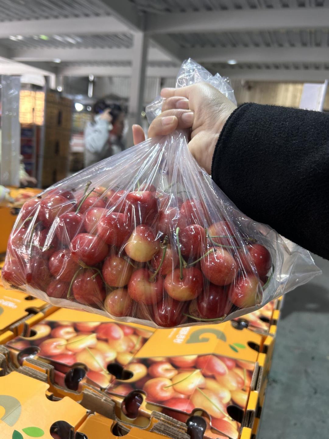 首批空运车厘子100-200元/斤:想吃到饱,等11月底的海运船