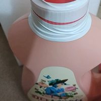 评估立白洗衣液的去污护色效果