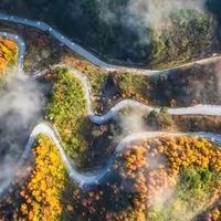 孕期藻油DHA怎么选：包装三项标注的查看顺序