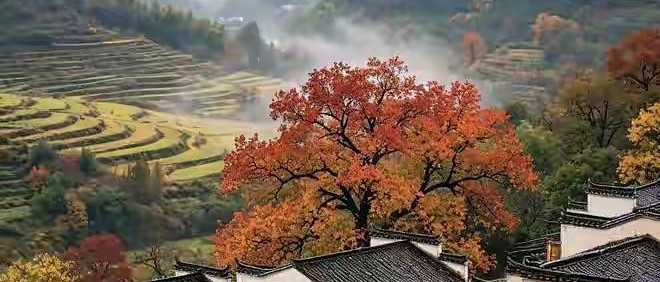 蛋白粉怎么挑：按场景和配方理顺一次