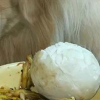 狗狗出门总狂闻路边花草？原因居然没你想的那么简单