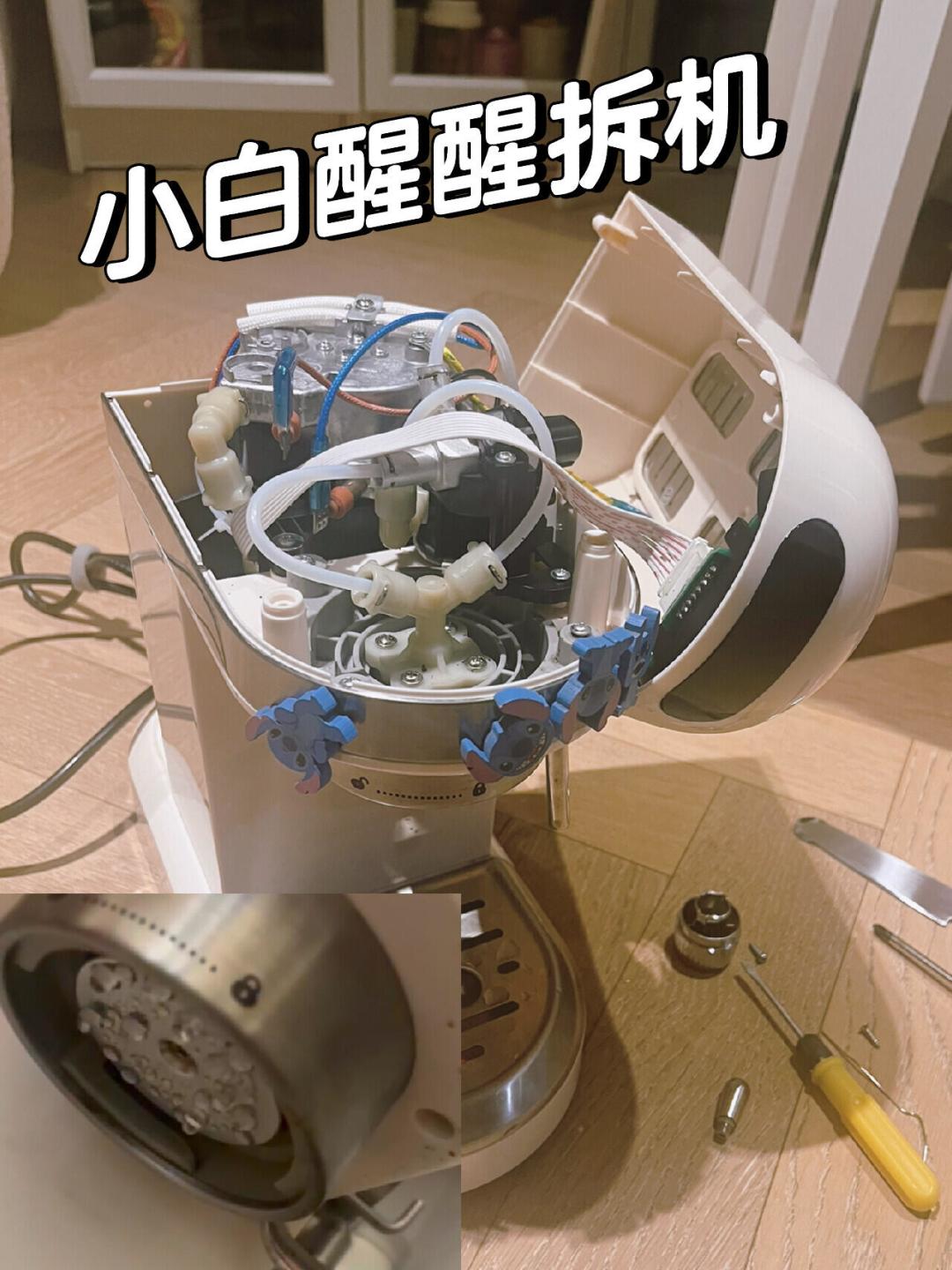 柏翠的
