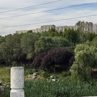 自己动手换空气滤芯，几十块省下工时费，实测简单好上手