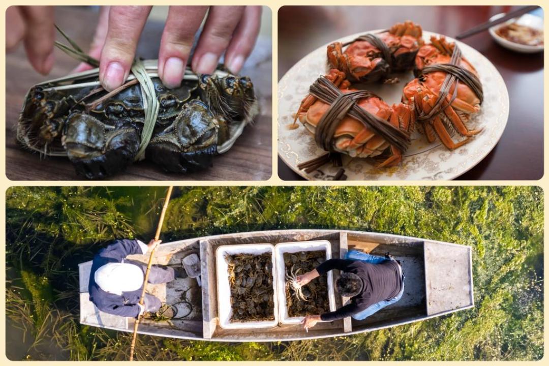 18条吐槽里16条是避雷：今年十月的板栗坏果率不对劲——看壳挑没用，坏的是芯