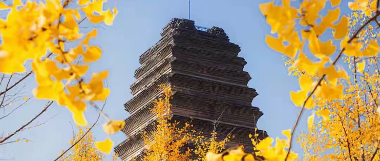 5 款益生菌我按饮食场景重排了一遍