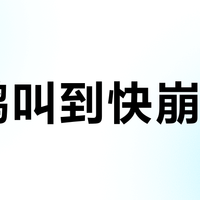 鹦鹉叫到快崩溃？我把全网"太吵"求助帖排了一遍：先分清5种叫声，盖布、无视、找个伴哪条真管用、哪条会翻车