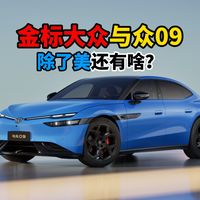 金标大众与众09除了美还有啥？