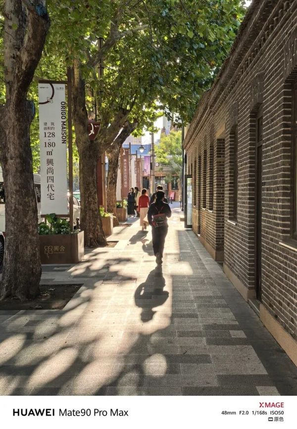 图源：不客观实验室