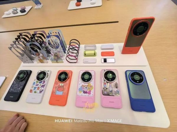 图源：不客观实验室