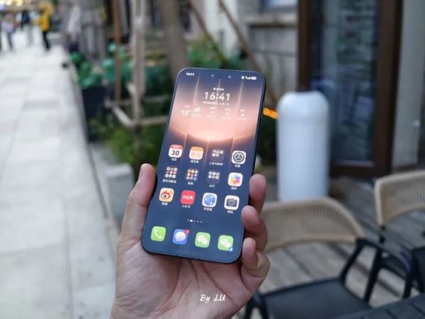 图源：不客观实验室