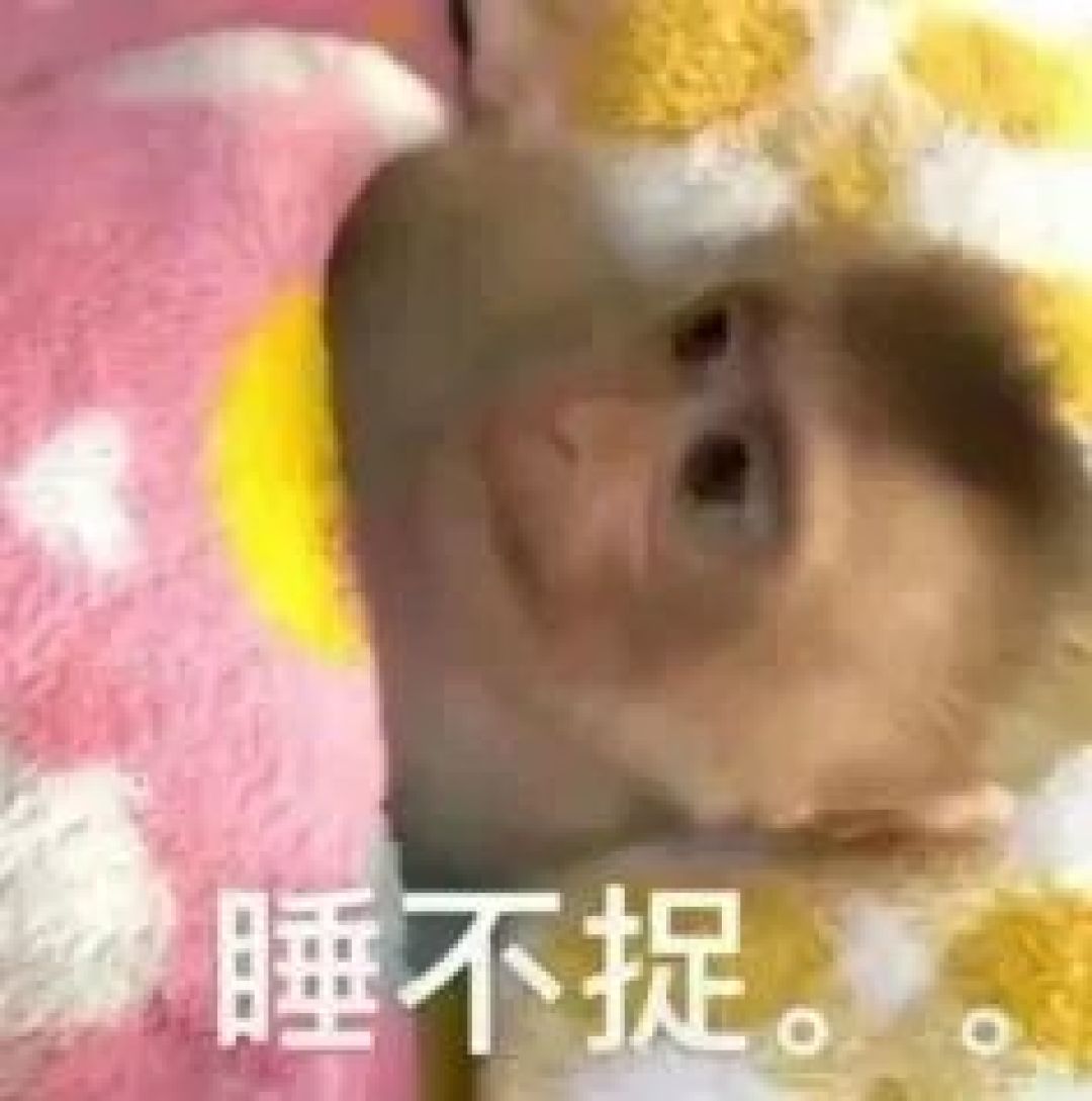 实测10款蚕丝被,线下现状让人出乎意料...