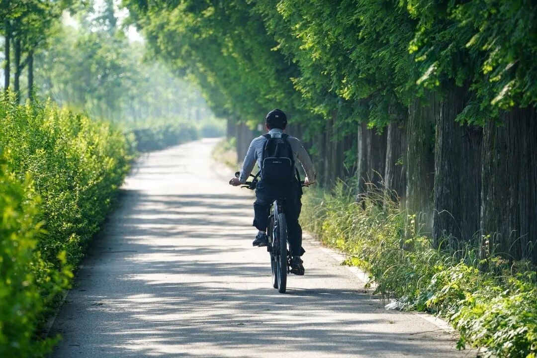 聪明主妇的18个省钱妙招，多年经验总结，钱省更多、生活过更好！