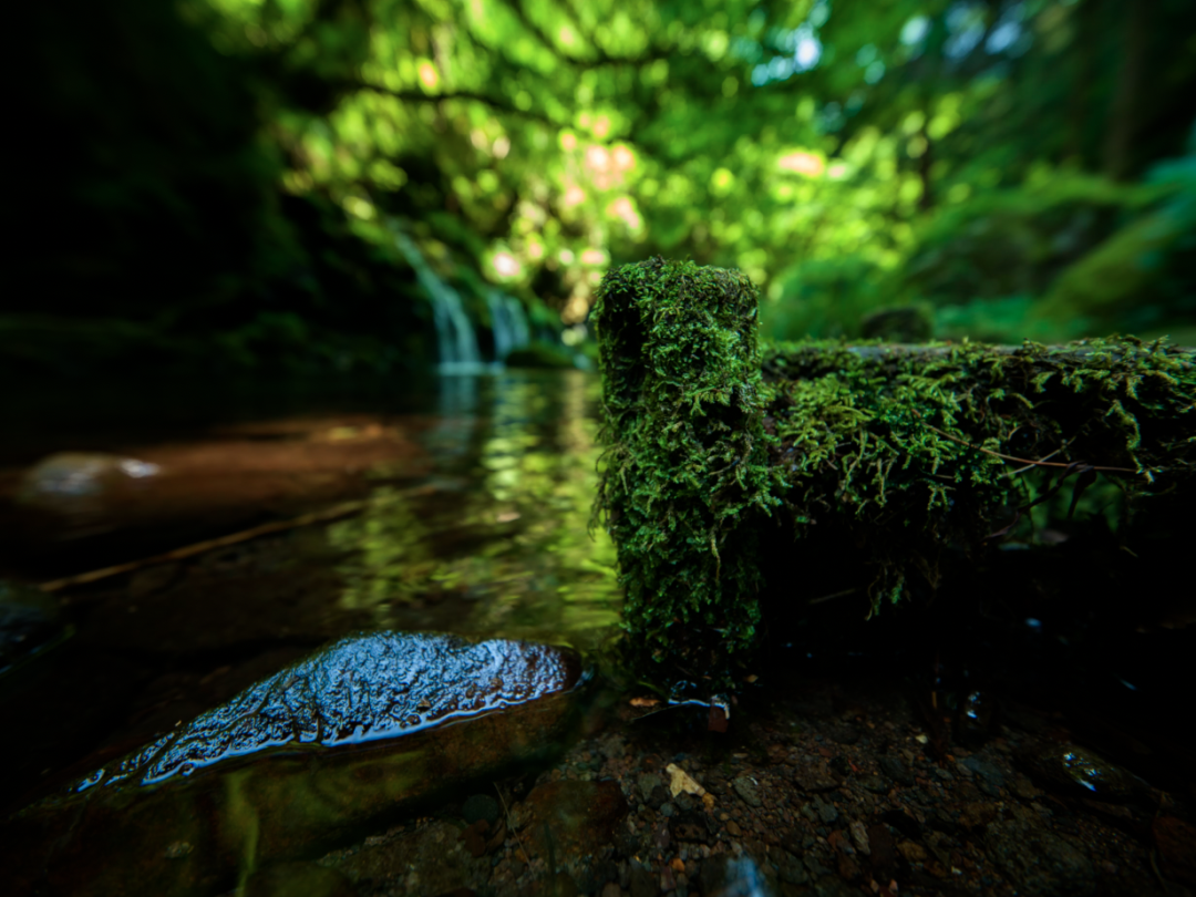 哈苏都没做到的——NiSi 16mm F2.8 XCD 超广角镜头