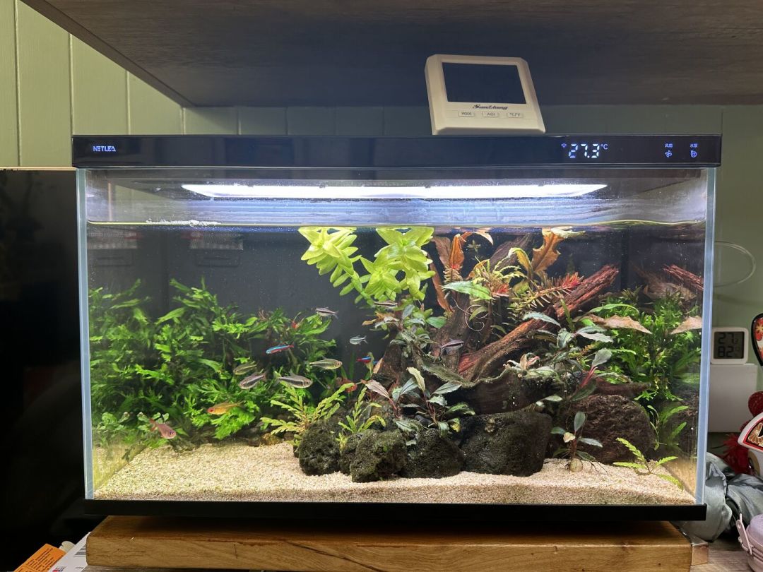 寒潮前把尼特利智能缸的温度账算清:屏幕显示25℃,真实水温可能已经27℃
