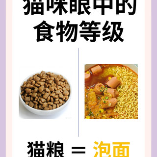 猫咪的眼中食物等级差距真的好大。
