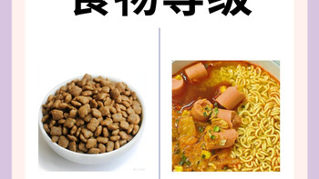 猫咪的眼中食物等级差距真的好大。
