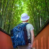 双11低价买格里高利,别急着验真假:假货、老款、充新、瑕疵,四件事分开看