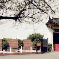 泸州老窖的双十一裂成了两半：国窖1573拼命挺价，口粮酒真跌出地板价，囤哪个、避哪个？