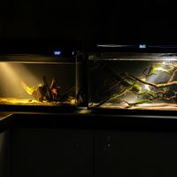 显示25°实际27°：尼特利X45 Ultra入冬前的三件保命事