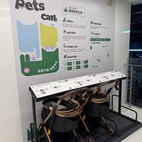 宠物友好商场集体刹车：牌子撤了、推车还在，这个冬天带狗出门先看懂这三层规则