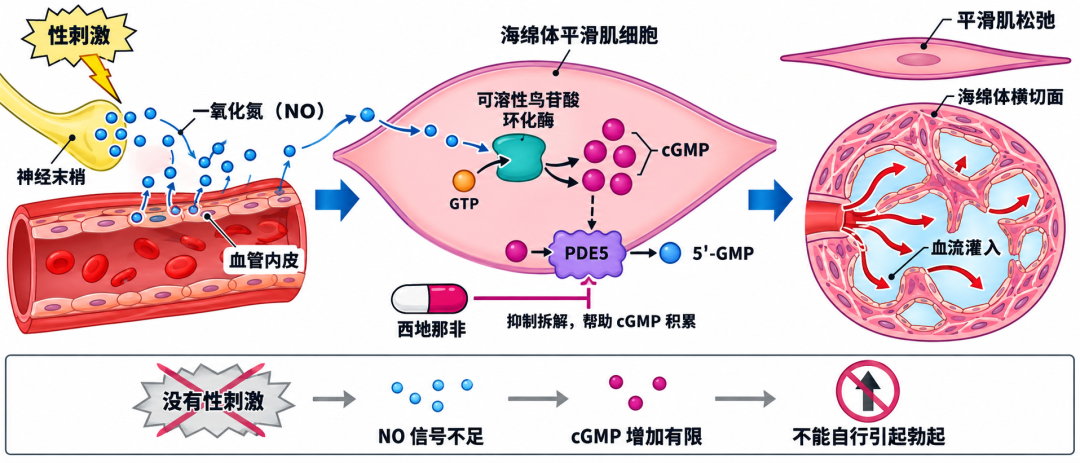 被全网群嘲的《男性心理健康手册》:
