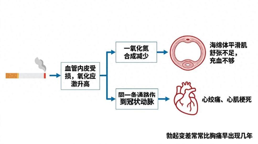 被全网群嘲的《男性心理健康手册》: